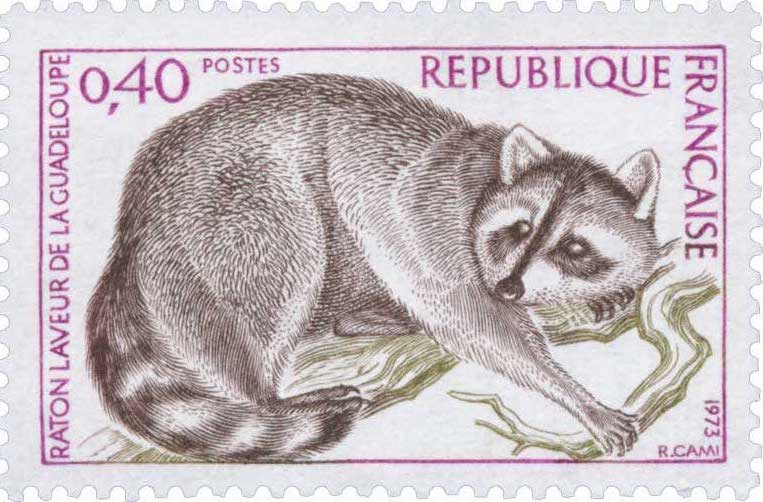 Timbre raton laveur de la Guadeloupe 1973